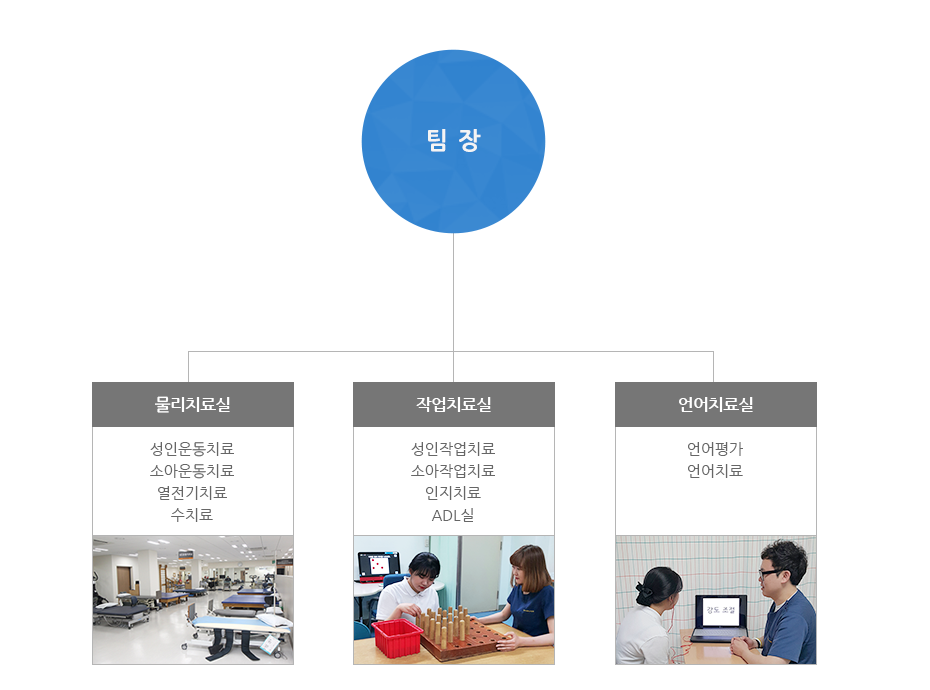 조직도