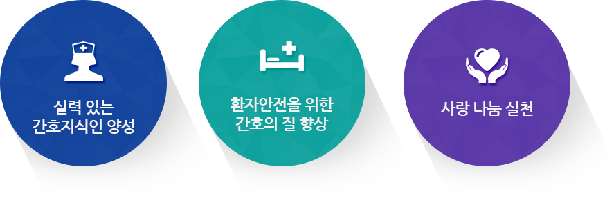실력있는 간호지식인 양성, 환자안전을 위한 간호의 질 향상, 사랑나눔 실천